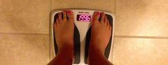 ONEderland