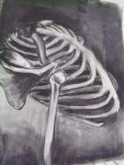 Charcoal