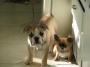 Jacub And JoJo