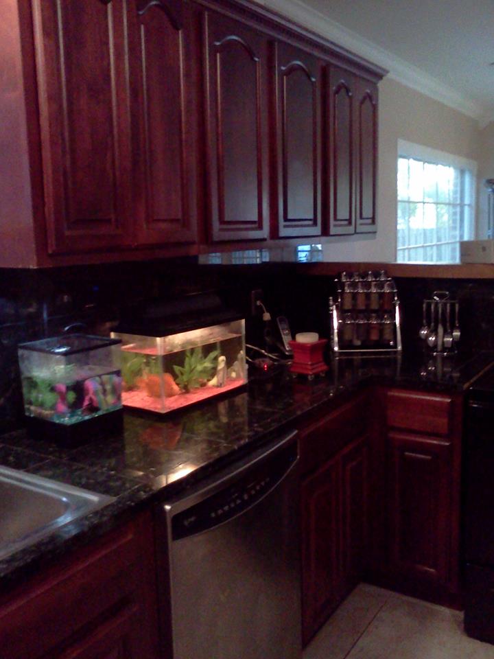 Our new Home