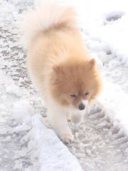 Jan. 2010 "Lucy"