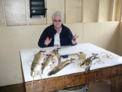 In the filleting shack!