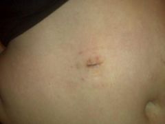 IMG00266[1]