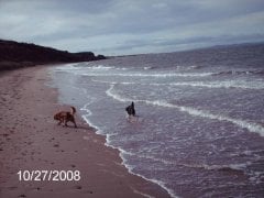 gullane beach 002