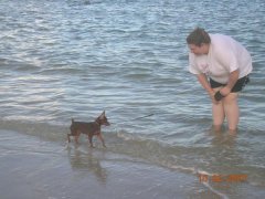 Wendy and Piper in Florida - Piper got to go to meet her beau.