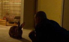 jkatt And Poo sibling 11.17.2011