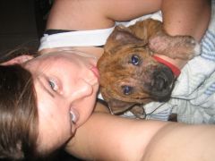 2006 puppy