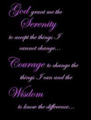 images (8)