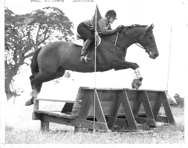 Horses from long ago