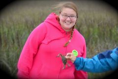 Catching a Crab 2012
