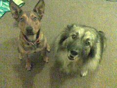 Colin N Rudy