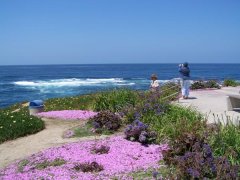 LaHolla Beach, CA