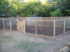 The beginning of our backyard garden, July 2008