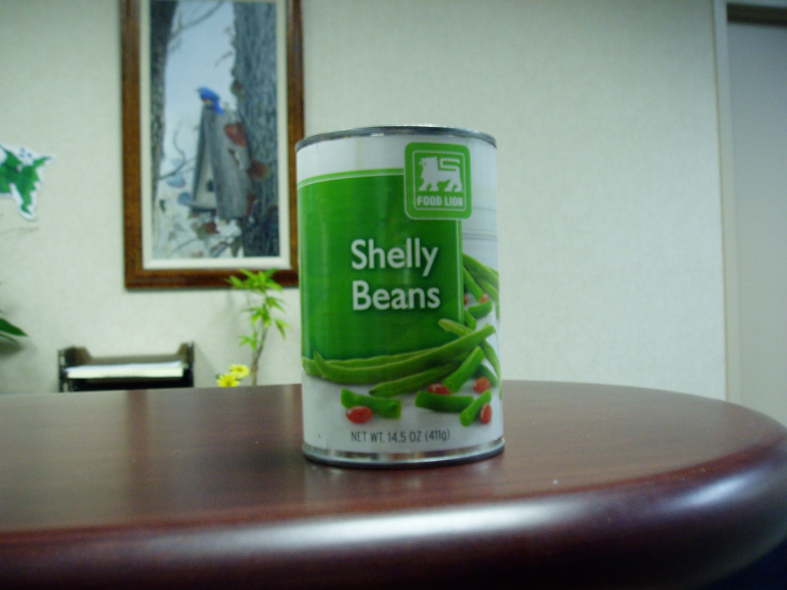 shellbell125