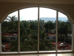 garden view from lobby