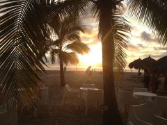 beautiful sunset