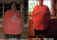 3 month pre-opt diet/Month 1