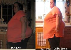 3 month pre-opt diet/Month 1