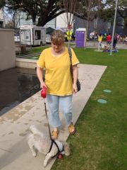 Walking Freddie at Bark in the Park 1/27/2013