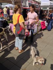 Negotiating with a Groomer at Bark in the Park 1/27/2013