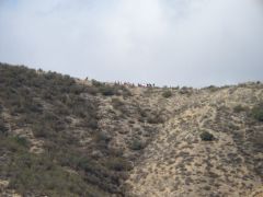 The Hike