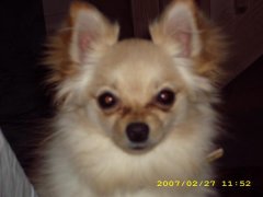 Josie
