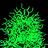 97402095@N00.jpg