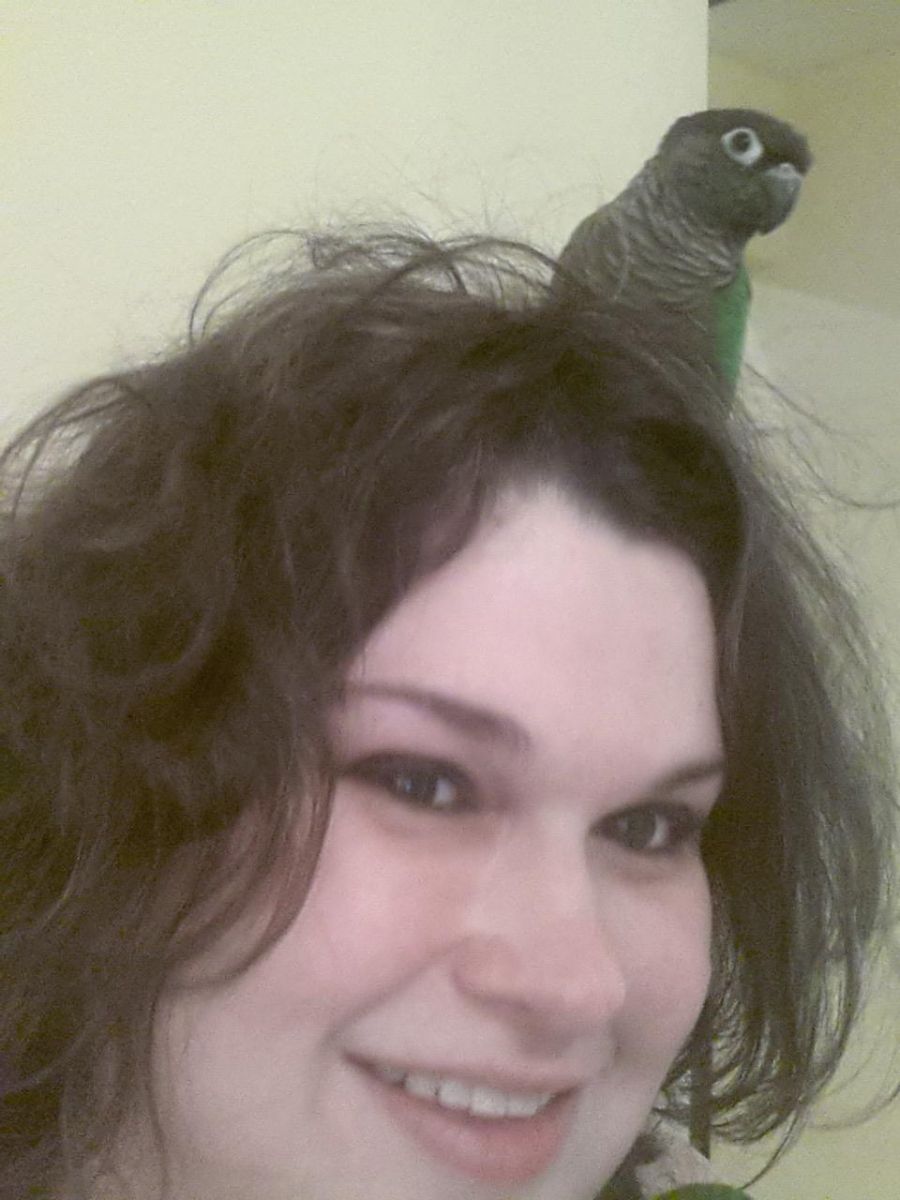taurabird