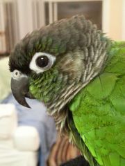 20130306 215305[1]