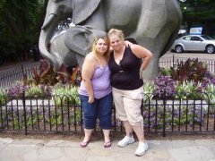 cherbear @ zoo in June 08