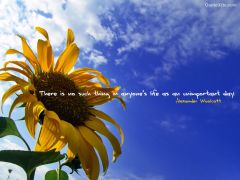 Inspirational Wallpapers creativity 12818354 1024 768