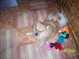 my other baby butter