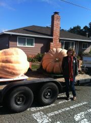 Pumpkins 2012