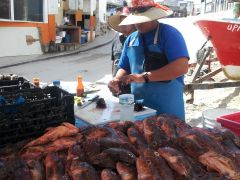 Tijuana Mexico 373