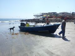 Tijuana Mexico 352