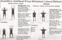 Fit Facts Shoulders