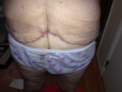 IMG 1013
