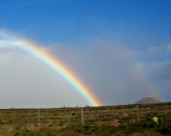 Where I live there are Rainbows