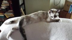 20140525 162006