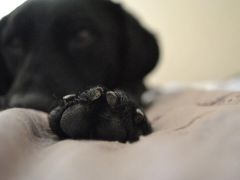 Cinder
