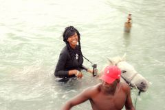 Horseback riding in Jamaica