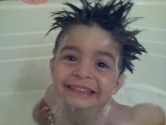 silly noah
