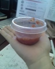 these r the bowls i eat out of...its easier to show everyone a pic than to try to explain...i fill this bowl with tuna...chicken fajitas...tofu chili...etc....protein...i eat out of these bowls 3xs a day and i ALWAYS eat out of them...i this keeps me full