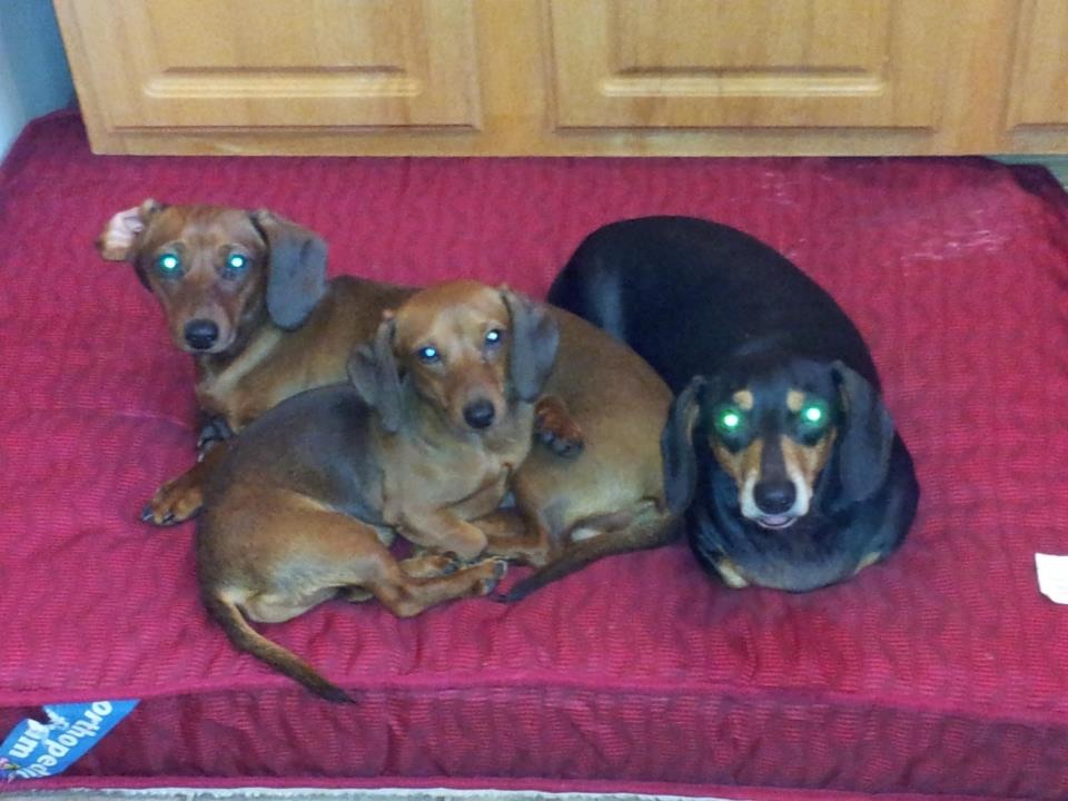 My Family