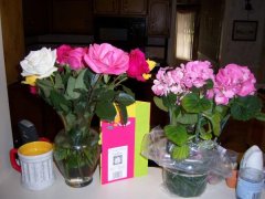 Pretty flowers for me!