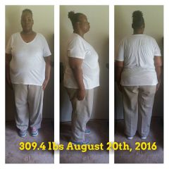 August 2016 Progress