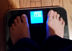 Onederland! *\o/*