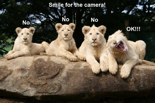 funny