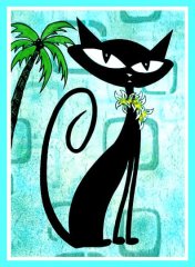 awackaloha