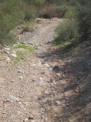 2 11 10
Trail walk at Usery Pass